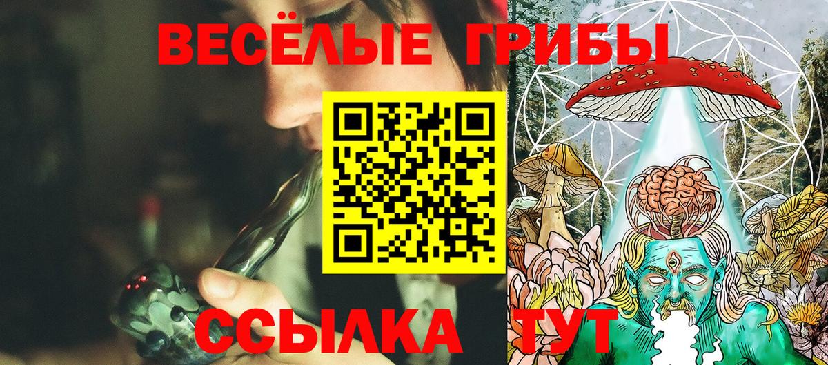Галлюциногенные грибы мухоморы Гусев